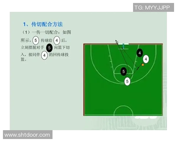 南京篮球队在锦标赛中的战术表现分析与点评揭示团队优势与不足